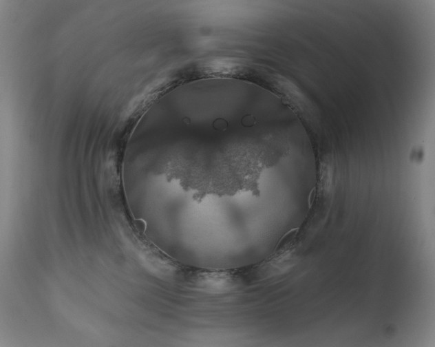 X0000112030377200908031442