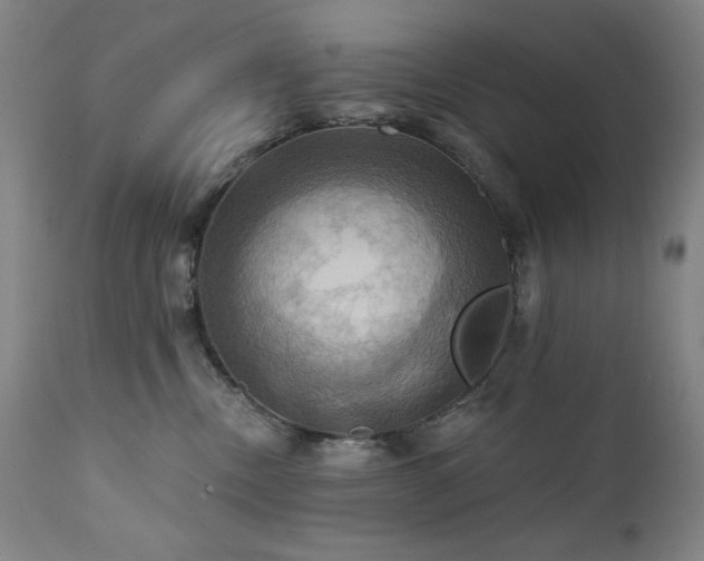 X0000112030378200908031442