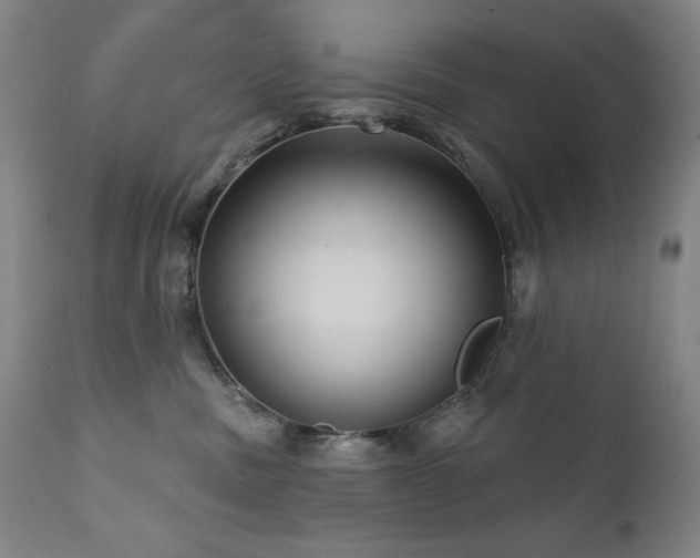 X0000112030379200908031442