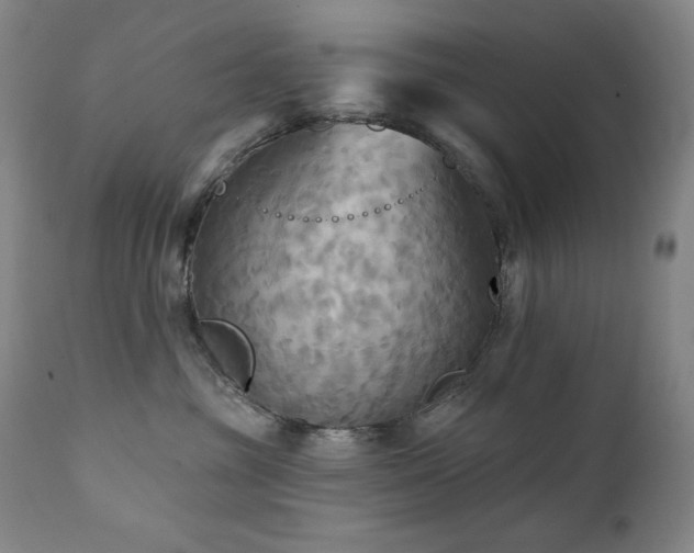 X0000112030381200908031442