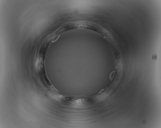 X0000112030382200908031442