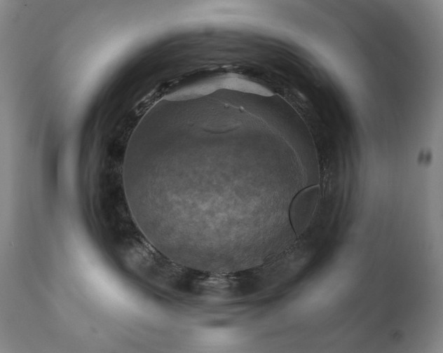 X0000112030383200908031442