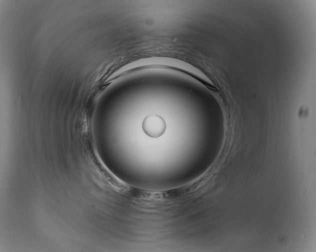 X0000112030384200908031442