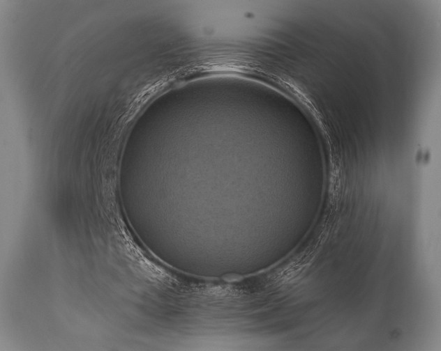 X0000112030385200908031441