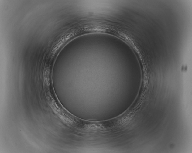 X0000112030386200908031441