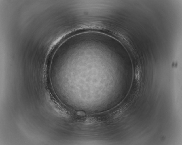 X0000112030388200908031441