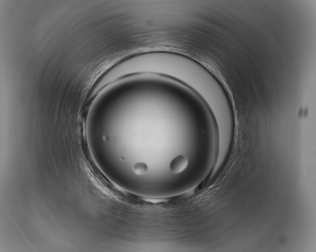 X0000112030389200908031441