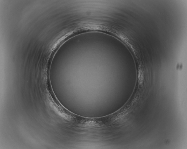 X0000112030390200908031441