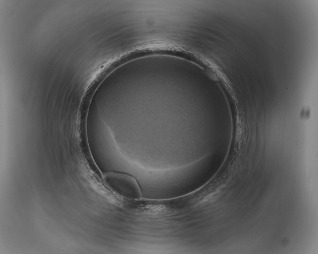 X0000112030391200908031441