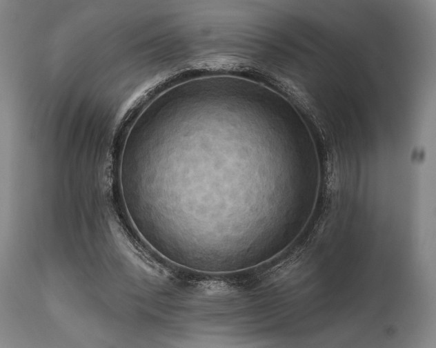 X0000112030392200908031441