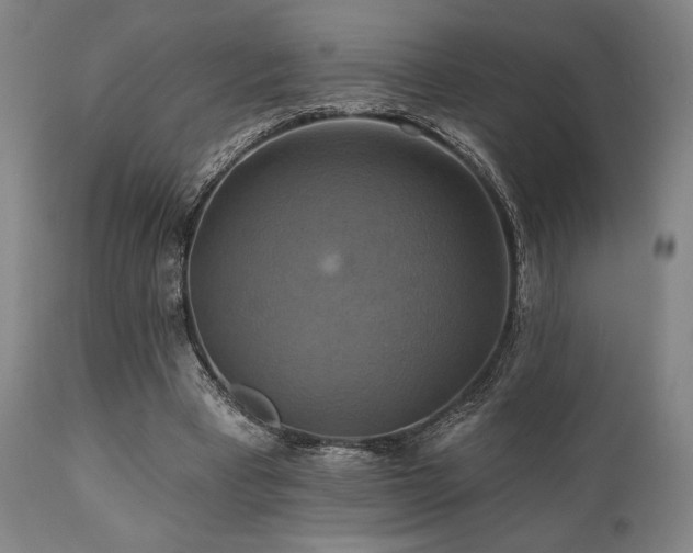 X0000112030393200908031441