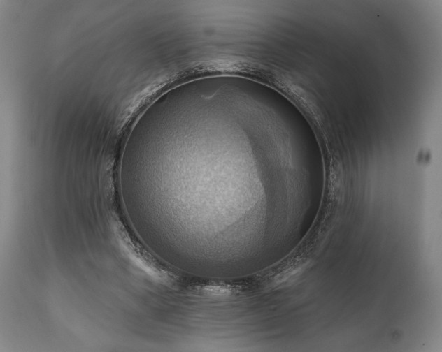 X0000112030394200908031441