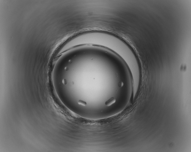 X0000112030395200908031441