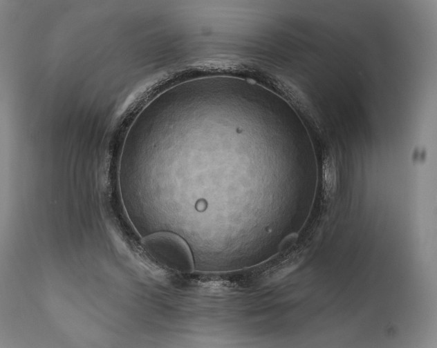 X0000112030396200908031441