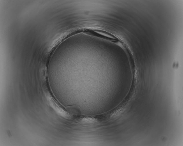 X0000112030397200908031441