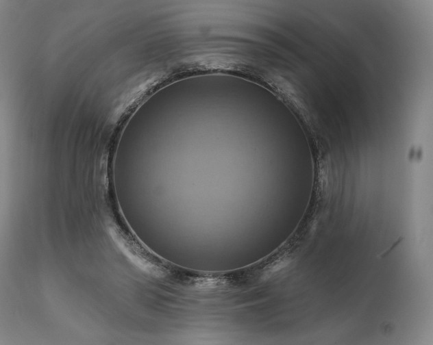 X0000112030398200908031441