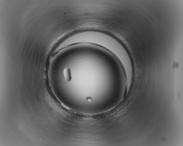X0000112030399200908031441