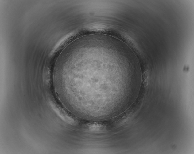 X0000112030400200908031441