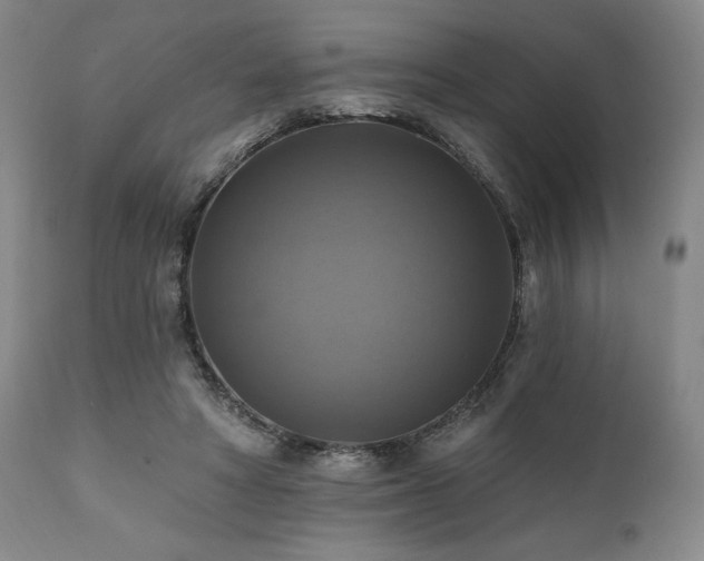 X0000112030402200908031441