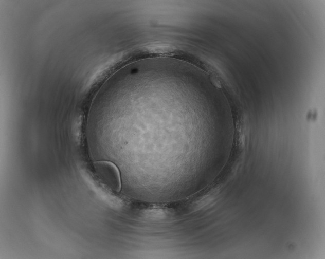 X0000112030404200908031441