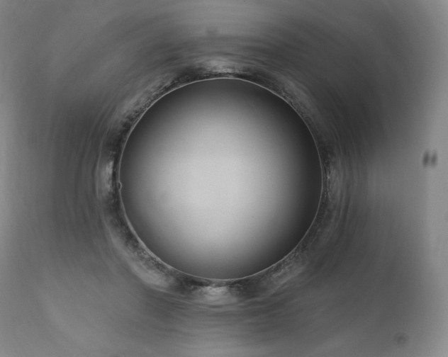 X0000112030406200908031441