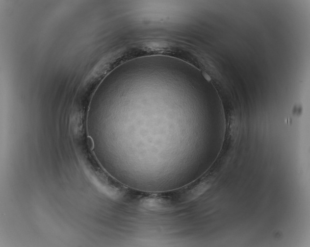 X0000112030408200908031441