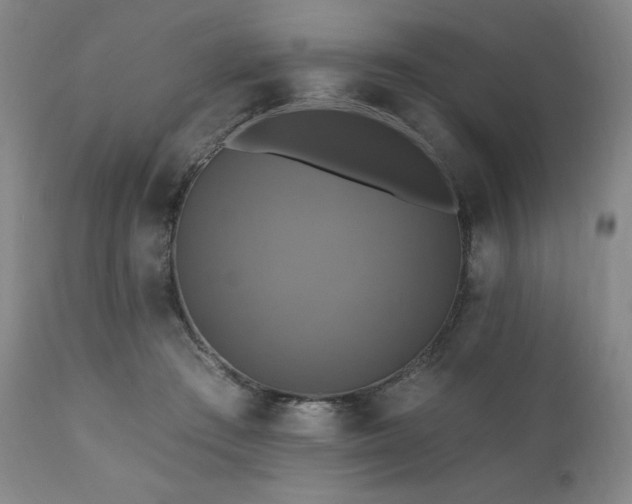 X0000112030409200908031441
