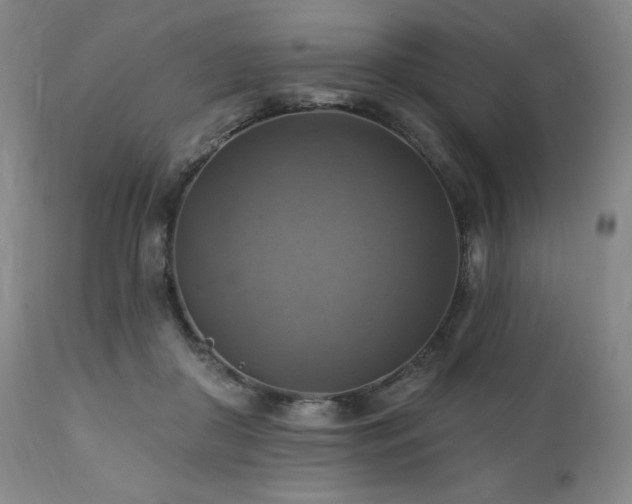 X0000112030410200908031441