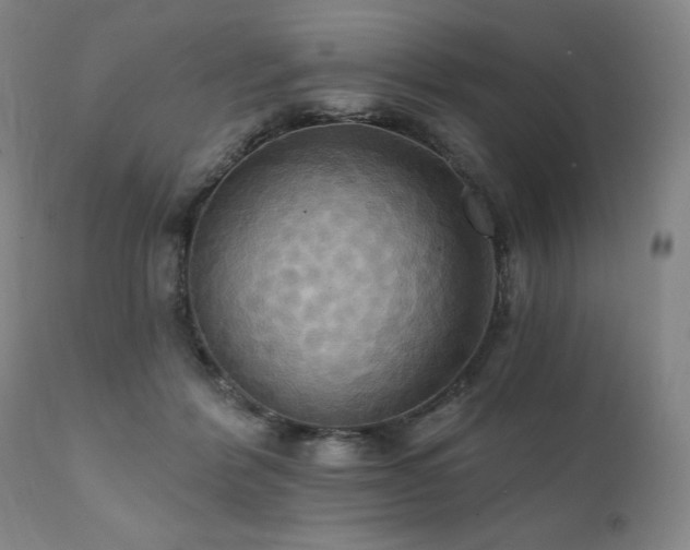 X0000112030412200908031441