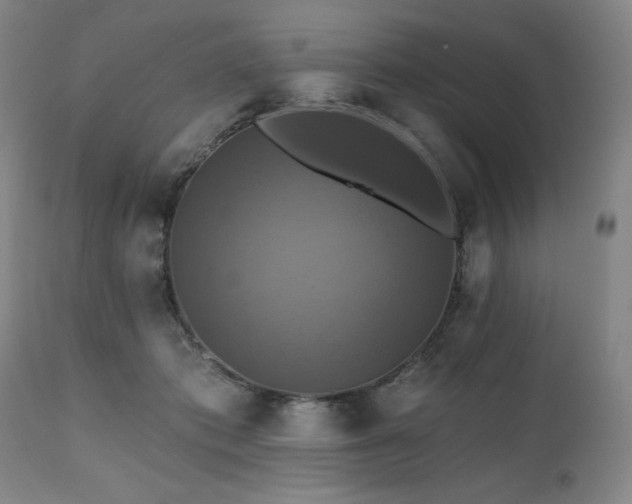 X0000112030413200908031441