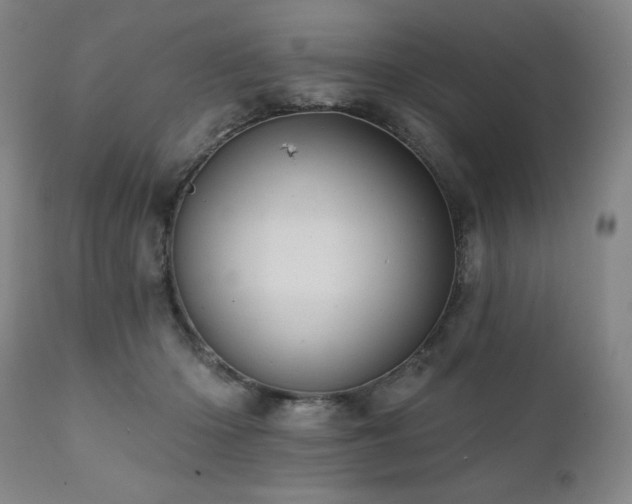 X0000112030414200908031441