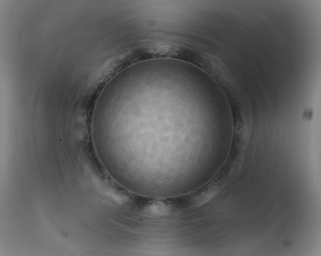 X0000112030416200908031441