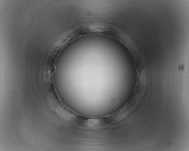 X0000112030418200908031441