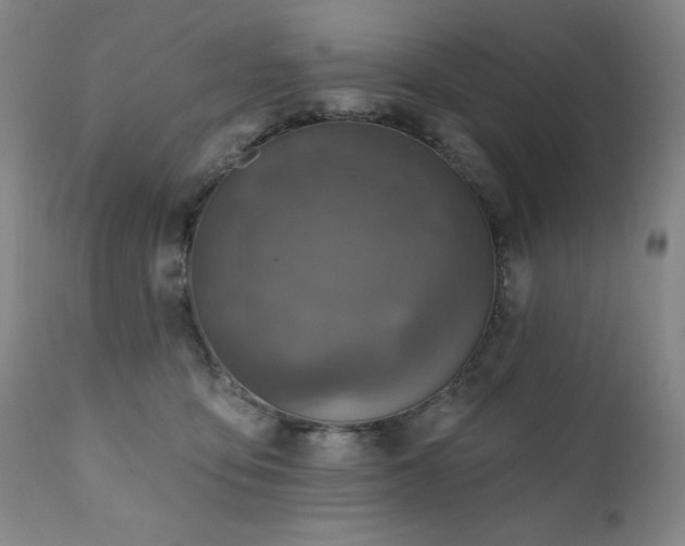 X0000112030419200908031441