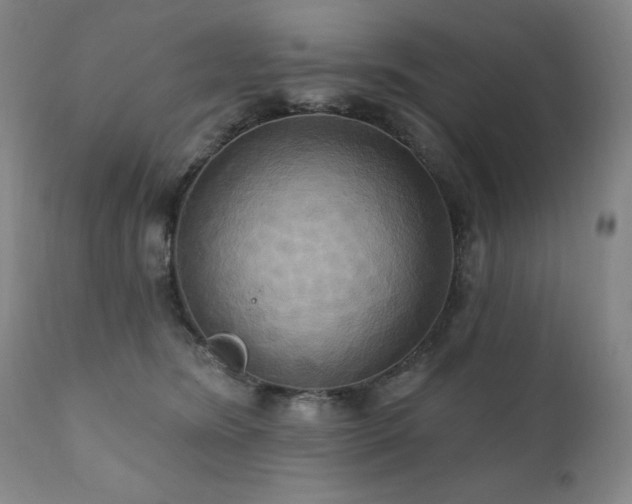X0000112030420200908031441
