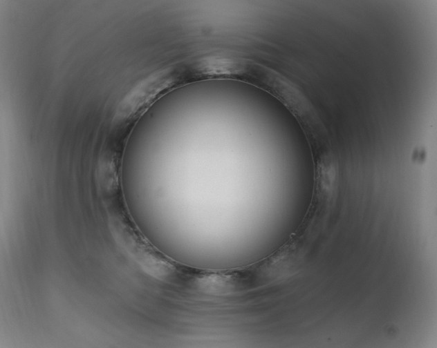 X0000112030422200908031441