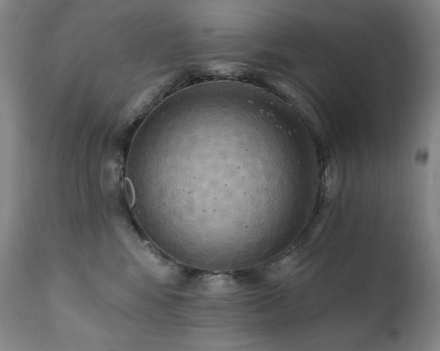 X0000112030424200908031441