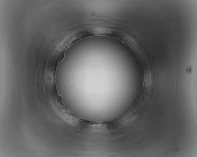 X0000112030426200908031441