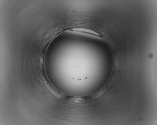X0000112030427200908031440