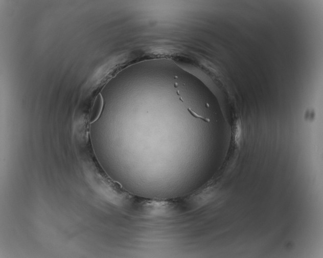 X0000112030428200908031440