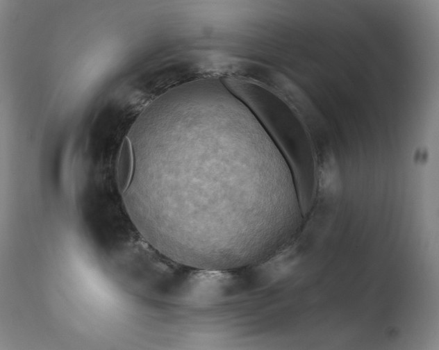 X0000112030429200908031440