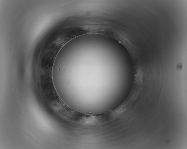 X0000112030430200908031440