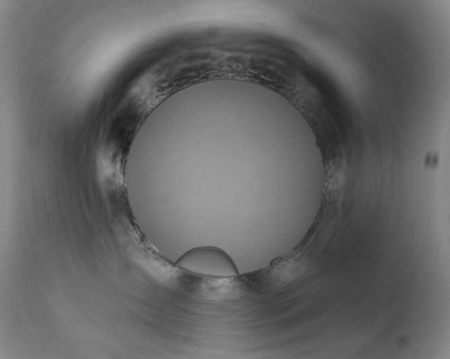 X0000112030431200908031440