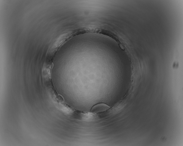 X0000112030432200908031440