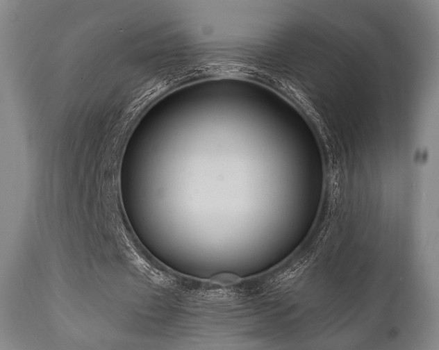 X0000112030433200908031440