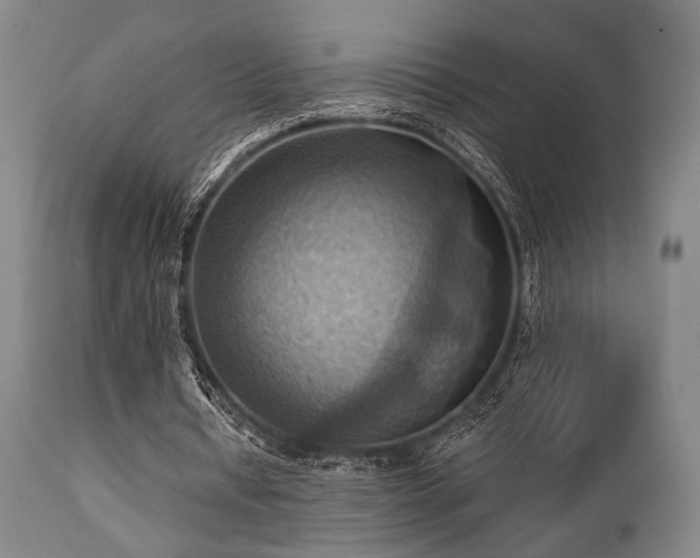 X0000112030434200908031440