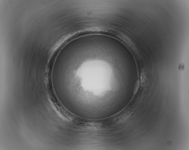 X0000112030436200908031440