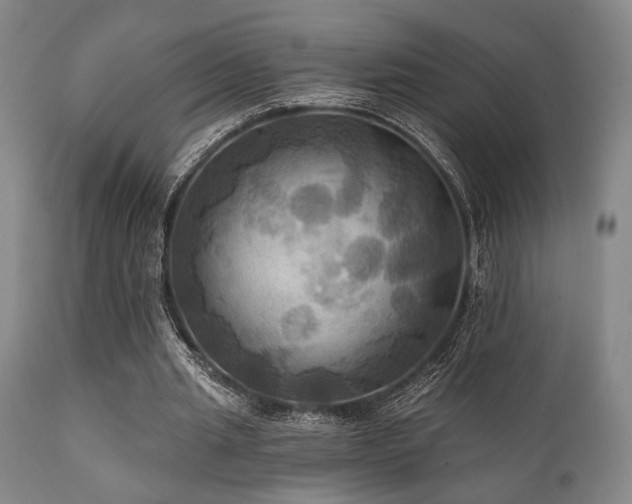X0000112030437200908031440