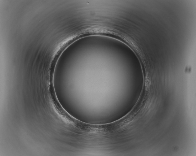 X0000112030438200908031440