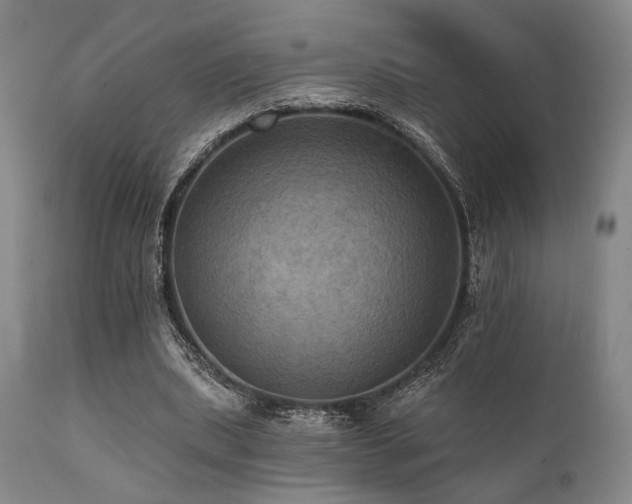 X0000112030439200908031440